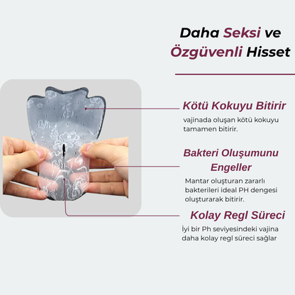 Vagina Geruch, Ausfluss, Trockenheit bekämpfendes Kollagen